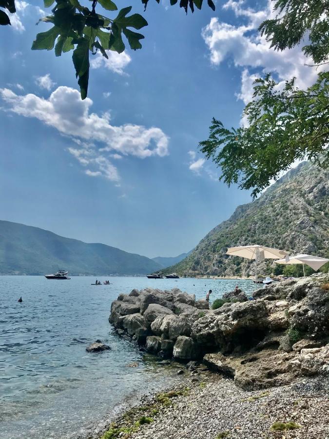 Lemon tree villa Kotor Extérieur photo