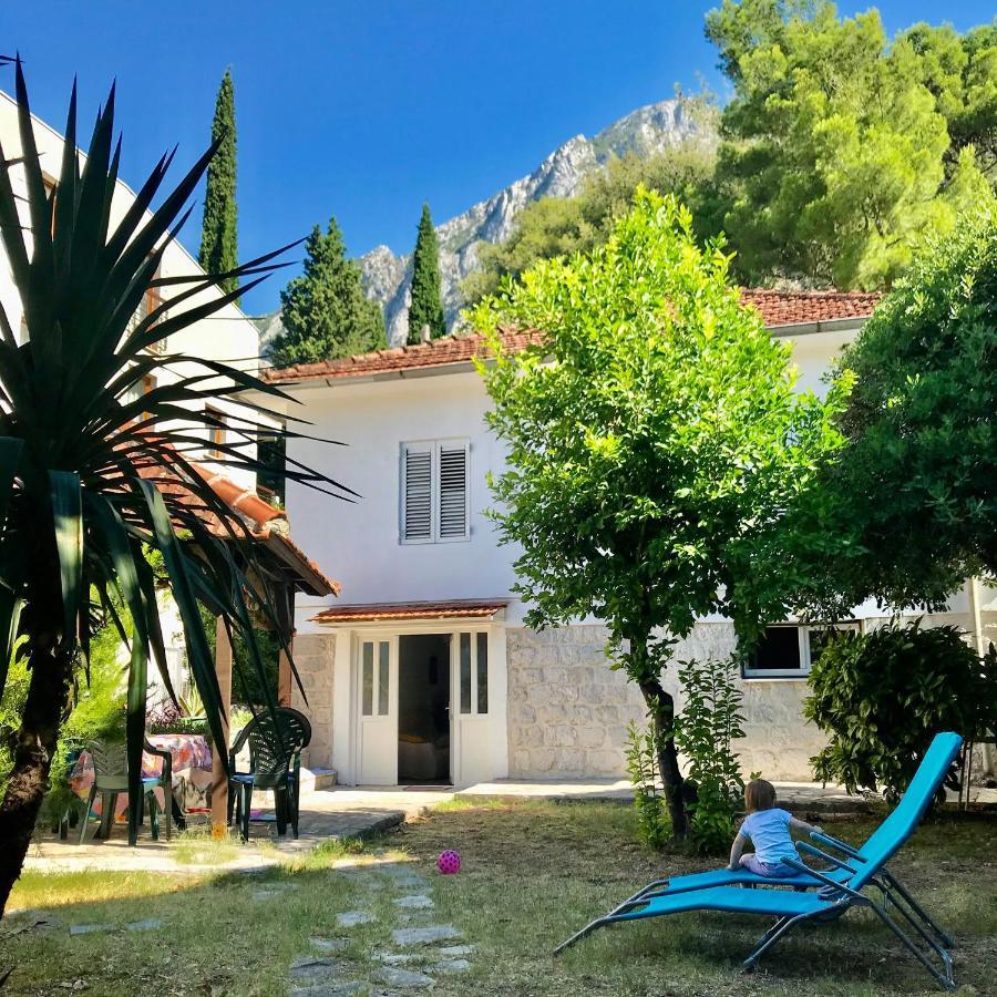 Lemon tree villa Kotor Extérieur photo