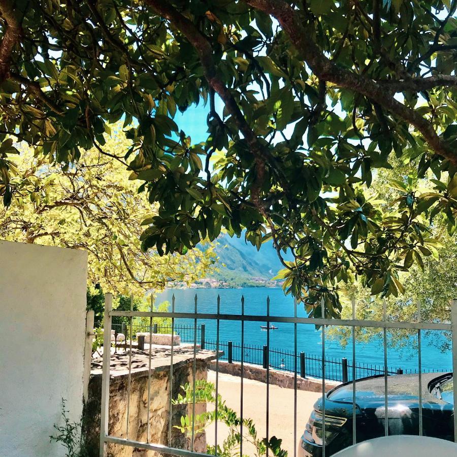 Lemon tree villa Kotor Extérieur photo