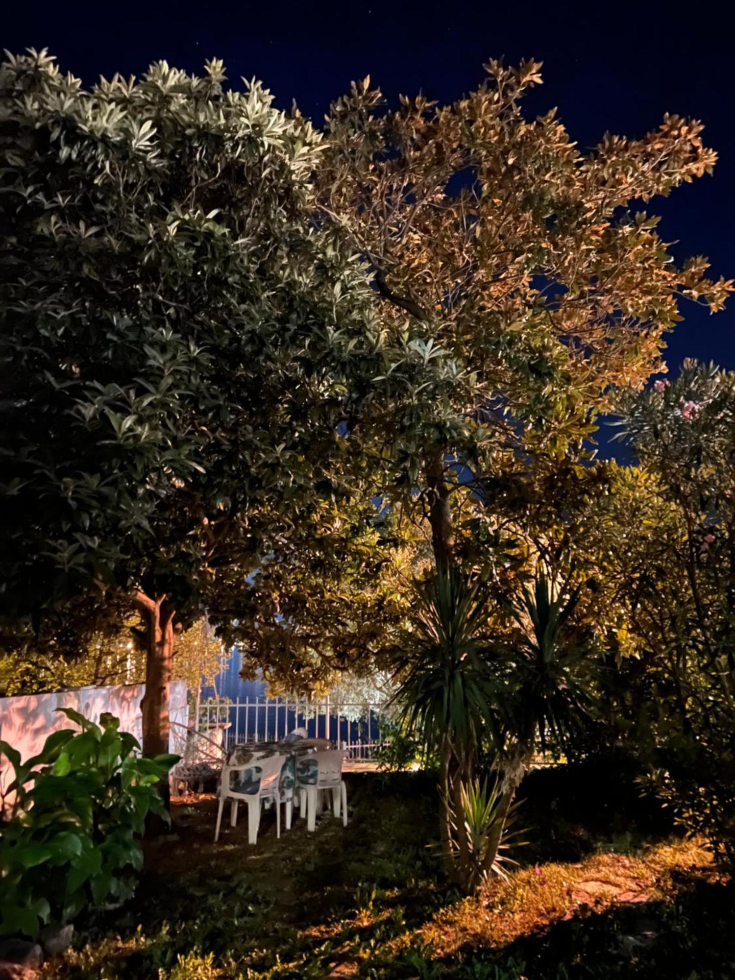 Lemon tree villa Kotor Extérieur photo