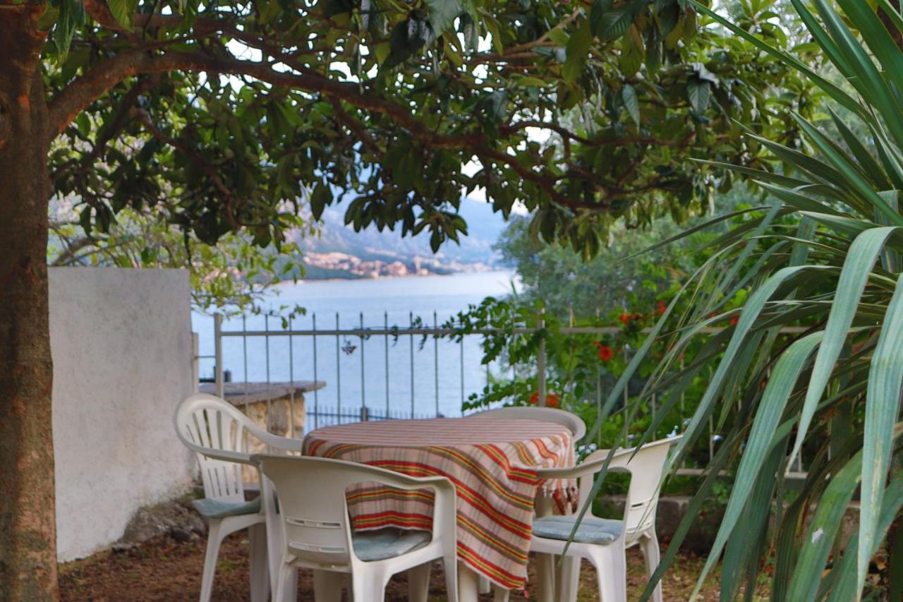 Lemon tree villa Kotor Extérieur photo